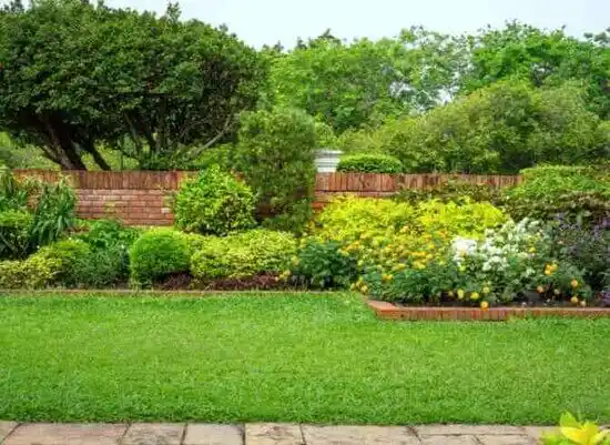 landscaping services Delta